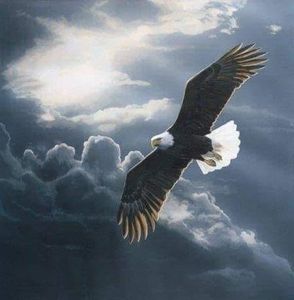 Meet your Posher, Lucas